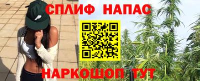 шишки Лесосибирск