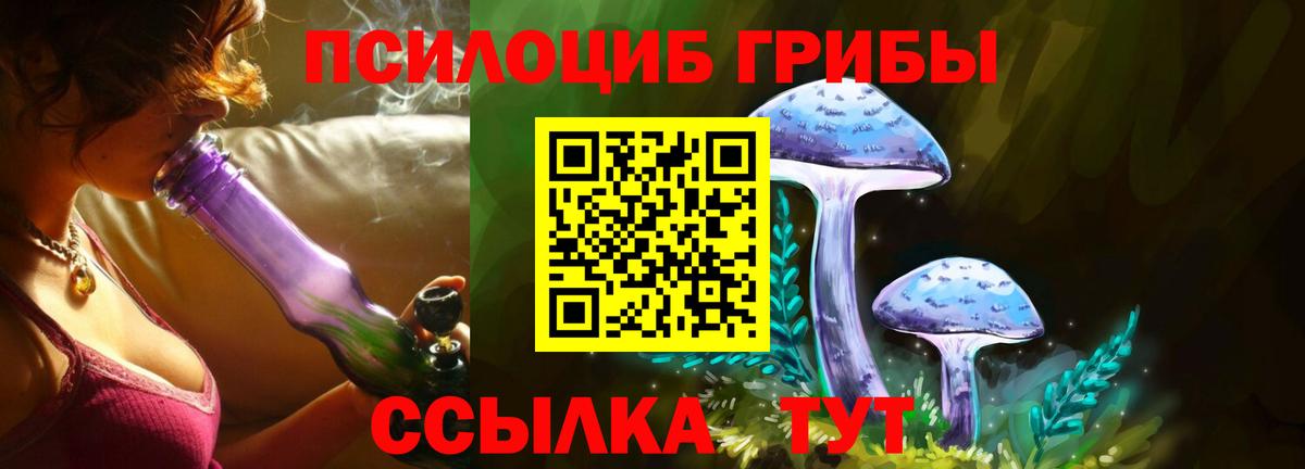 Галлюциногенные грибы Psilocybine cubensis  Вход с VPN  Каменка 